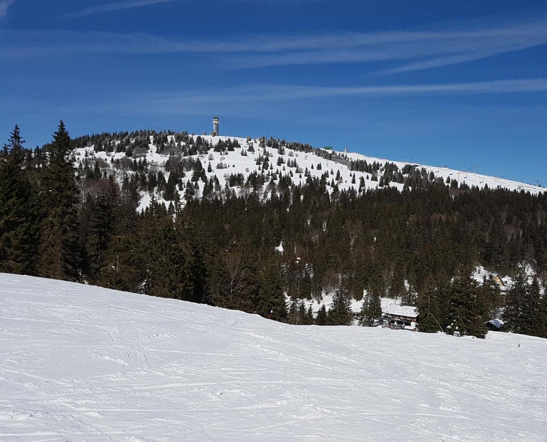 Enjoy Ferienwohnung Feldberg Grafenmatt Esterno foto